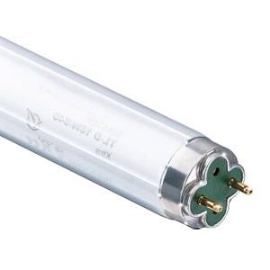 18w T8 Philips TL-D Xtreme Coolwhite/840 2 Foot Fluorescent Tube - 4000 Kelvin - 18840XTREME