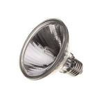 PAR30 Light Bulbs