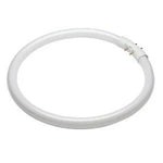 2gx13 (Circular Fluorescent Tubes)