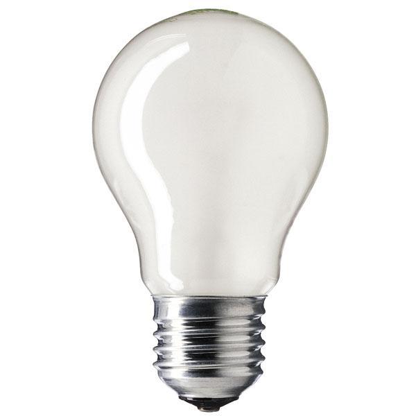 Low Voltage GLS 40w E27/ES 48/50v Casell Lighting Pearl/Frosted Light Bulb