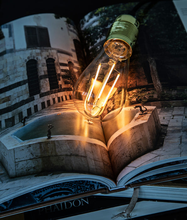 Danlamp 26070 - 240V 4W E27 DANLAMP EDISON LED-4