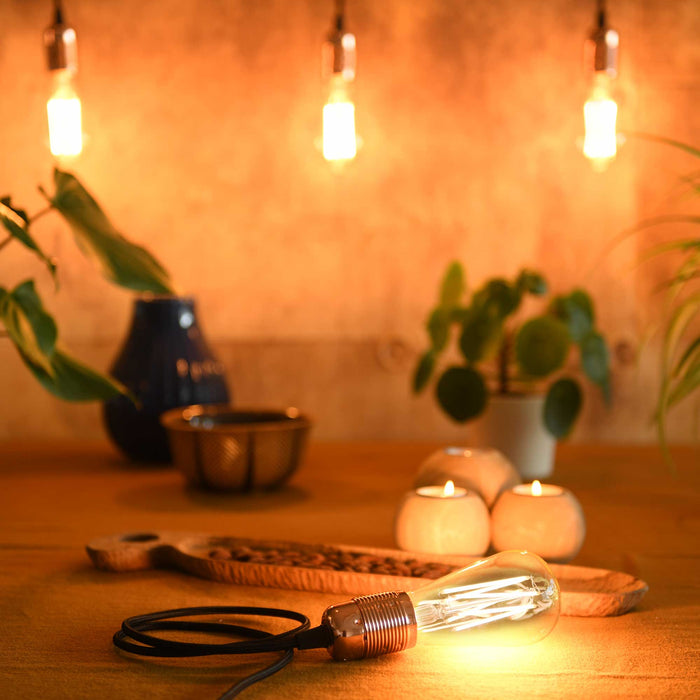 230v 60w E27 Squirrel Cage Filament - Danlamp Edison - 08070