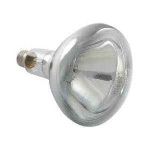 Food Catering Bulb 375w 240v E27/ES Clear Hard Glass Heat Light Bulb - 125mm Diameter Infra Red Bulbs Victory  - Easy Lighbulbs