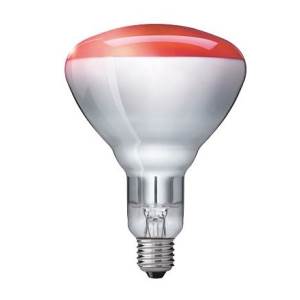 GE Lighting 240v 250w E27/ES R125 Ruby Front Infrared Bulb Infra Red Bulbs GE Lighting  - Easy Lighbulbs