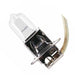H3 Car Bulb 12v 130w Pk22s Base Clear Car Bulbs Easy Light Bulbs  - Easy Lighbulbs