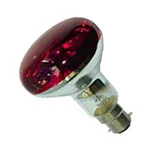 Spot Bulb Red 240v 60w B22d/BC R80 Crompton Lighting Coloured Bulbs Crompton  - Easy Lighbulbs