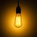 Swan Squirrel Cage 240v 40w E27. Looks like an early 1900's GLS Light Bulb Antique Filament Bulbs Other  - Easy Lighbulbs